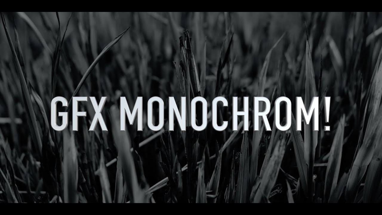 GFX MONOCHROM!