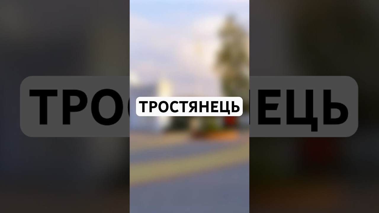 Город Тростянец #сумскаяобласть #тростянец #факты #sumyregion