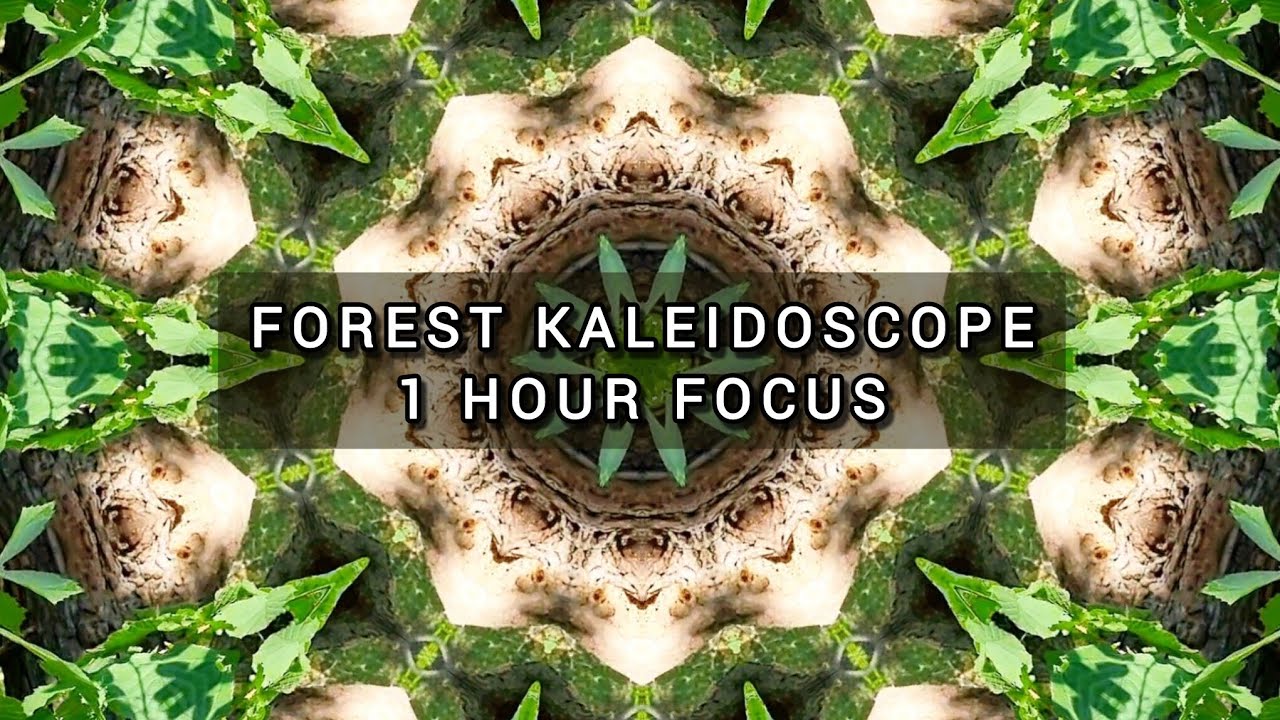 1 Hour Forest Kaleidoscope Background for Deep Focus, Study & Relaxation 