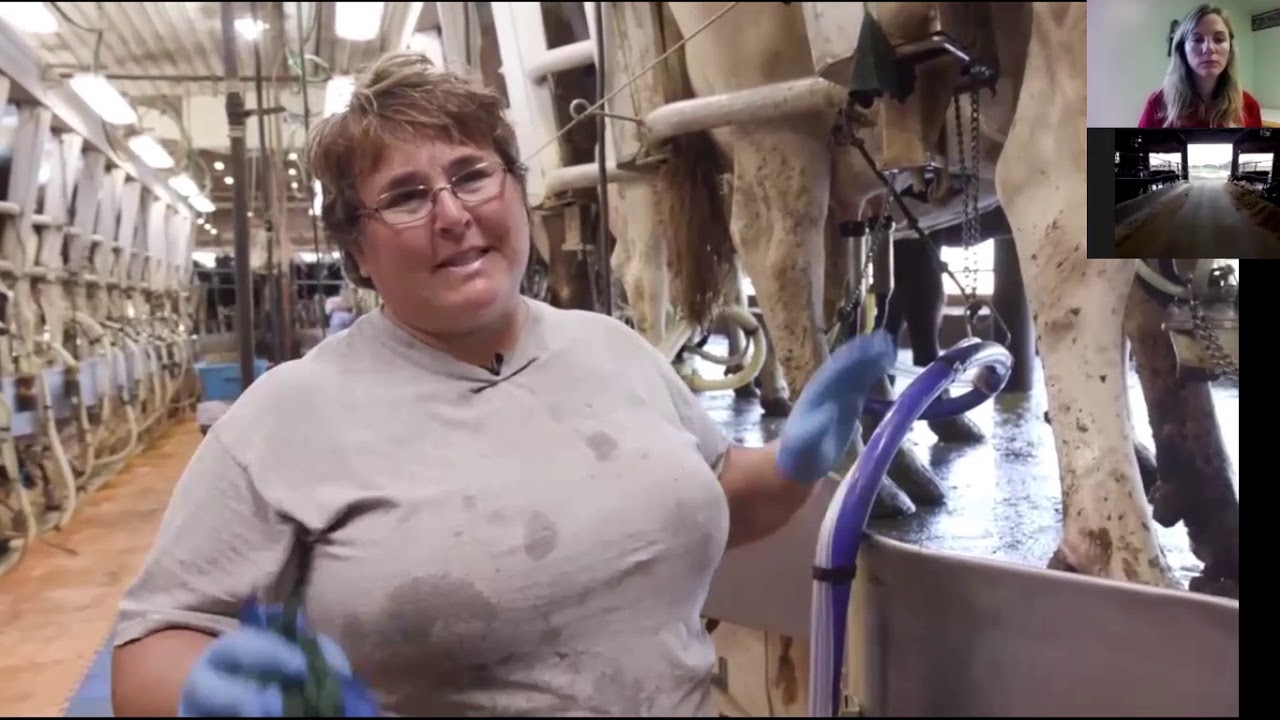 High School Virtual Farm Tour of a North East Dairy