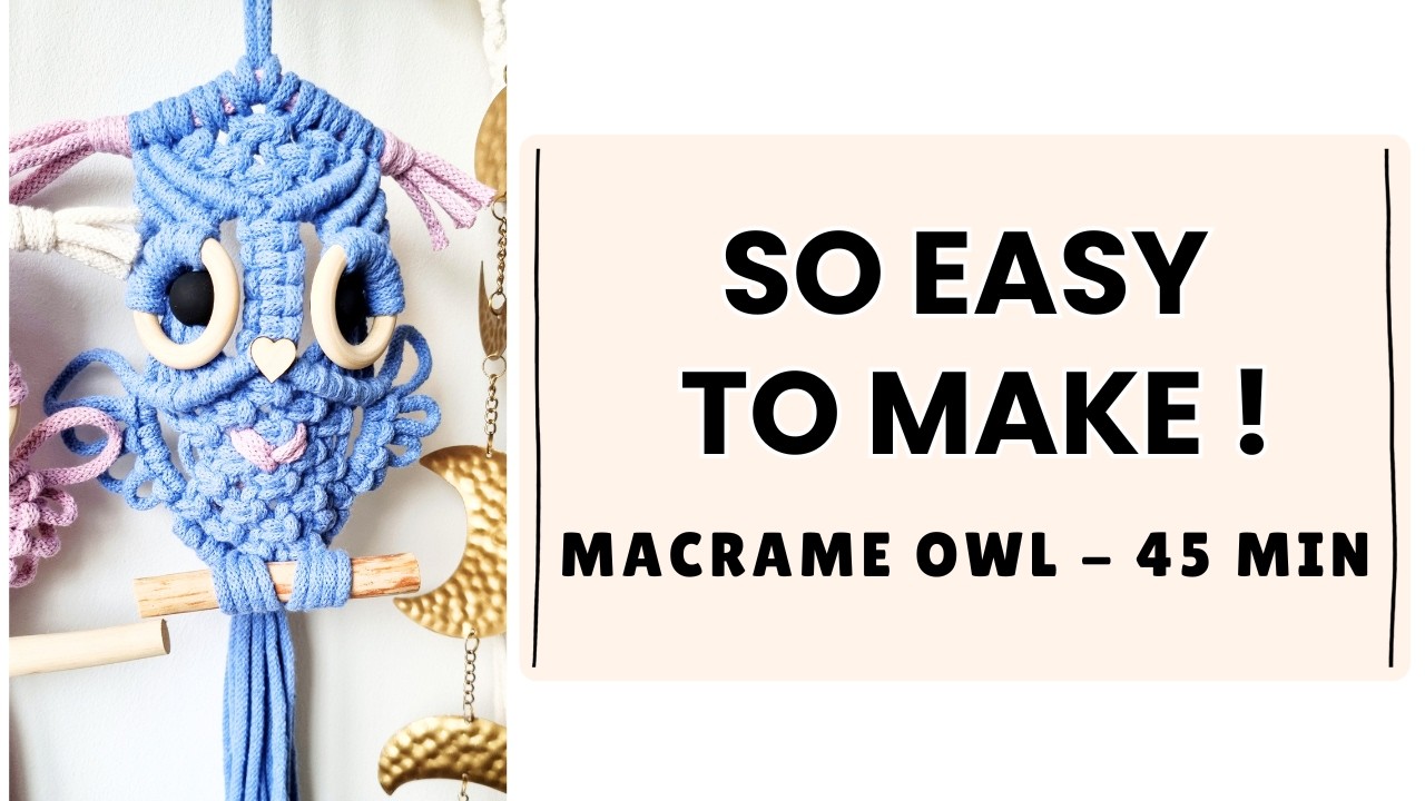 Easy Macrame Owl Tutorial 🦉 | Cute DIY Wall Hanging for Beginners