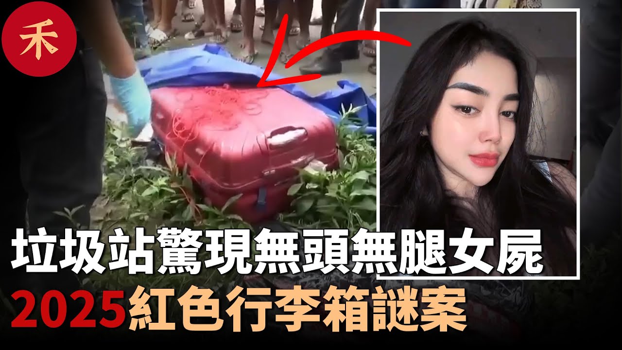 2025新案件！29歲女子失蹤，村莊垃圾站紅色行李箱傳出惡臭#案件 #crime #crimestory #懸疑 #故事 #婚姻