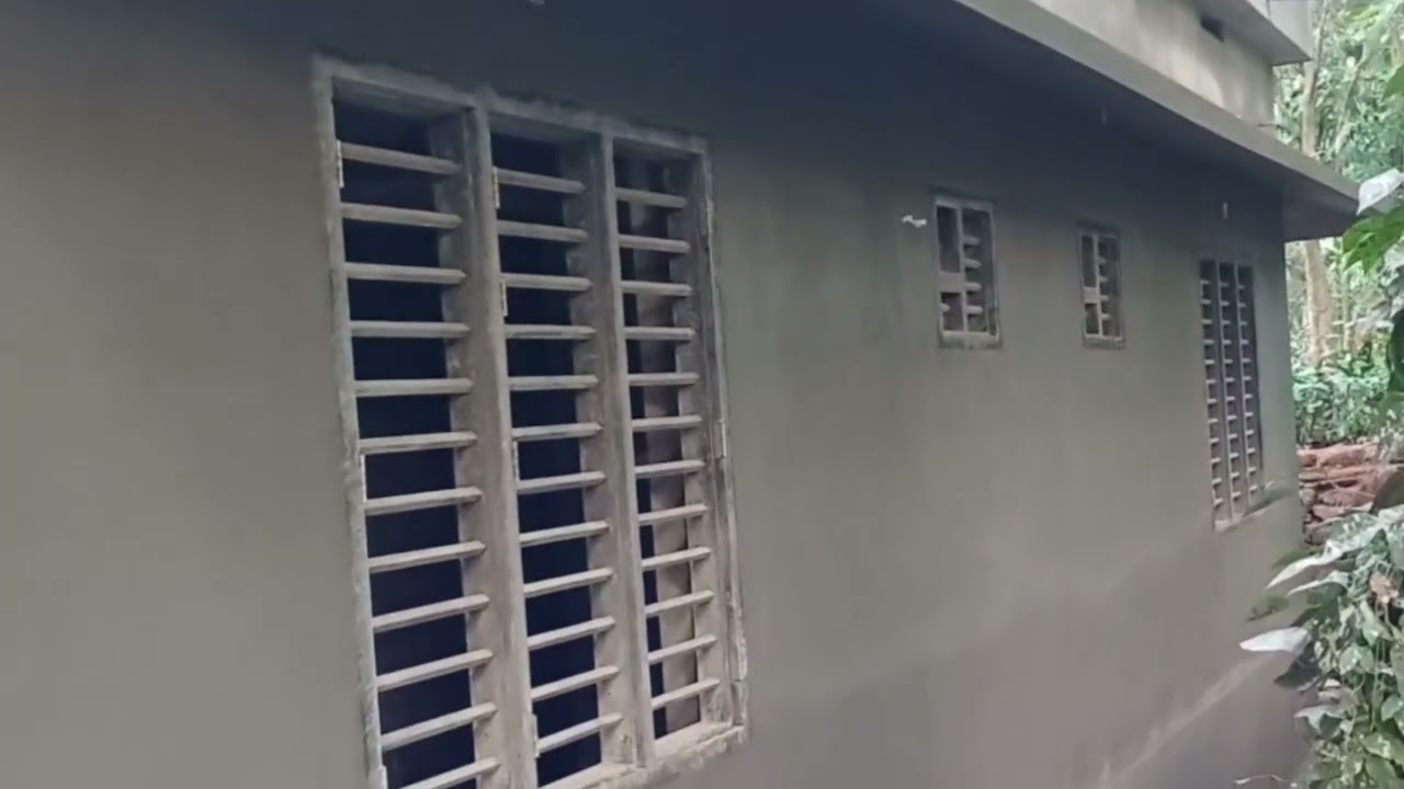 কেরালাতে কাজের ভিডিও #reel #nature #shorts #