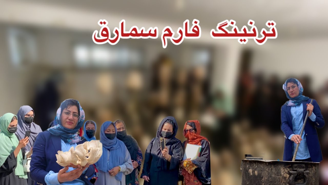 ترنینگ علمی و عملی ایجاد فارم سمارق در کابل کې د ځمکۍ غوښې علمی او عملی ترنینګ