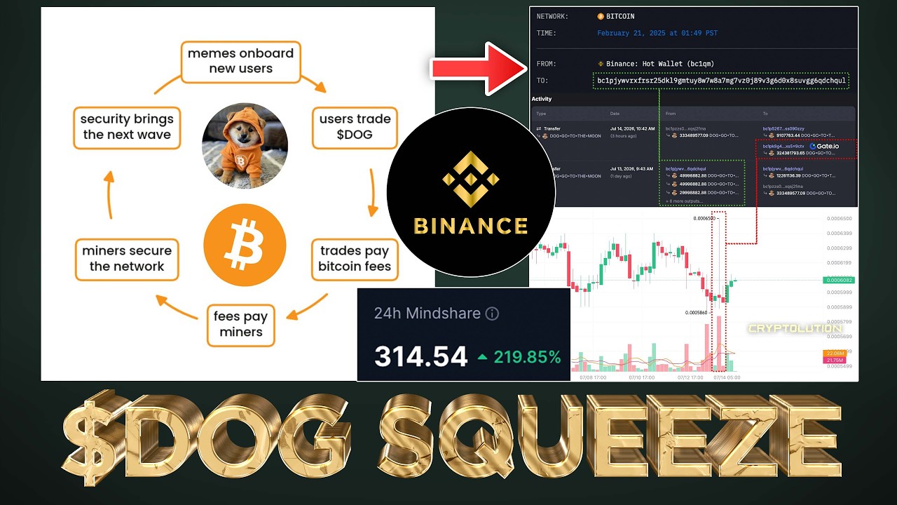 #Binance Hot Wallet Caught Trading $DOG (SHORT SQUEEZE WORKING 🤩)