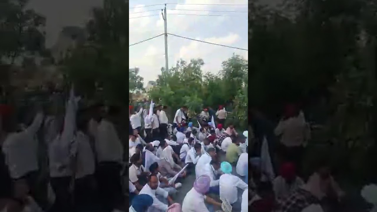New Update Master Cadre/CM Bhagwant Mann ਦੀ ਕੋਠੀ ਅੱਗੇ ਧਰਨਾ/Lecturer Cadre/ETT/55% Cancel/Age/Art/New