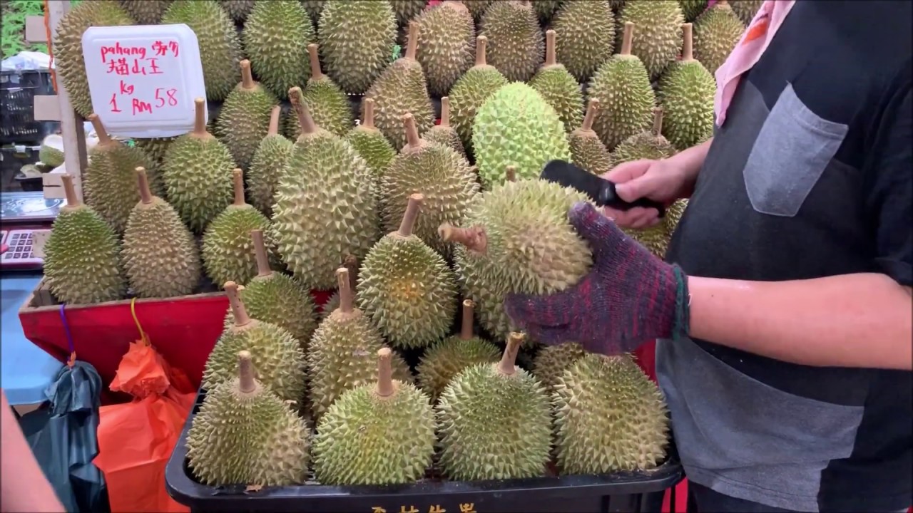 Musang King Mao Shan Wang Durian at Durian Prince 12/2 Taman Nusa Bestari Skudai Johor Malaysia 👑🍈