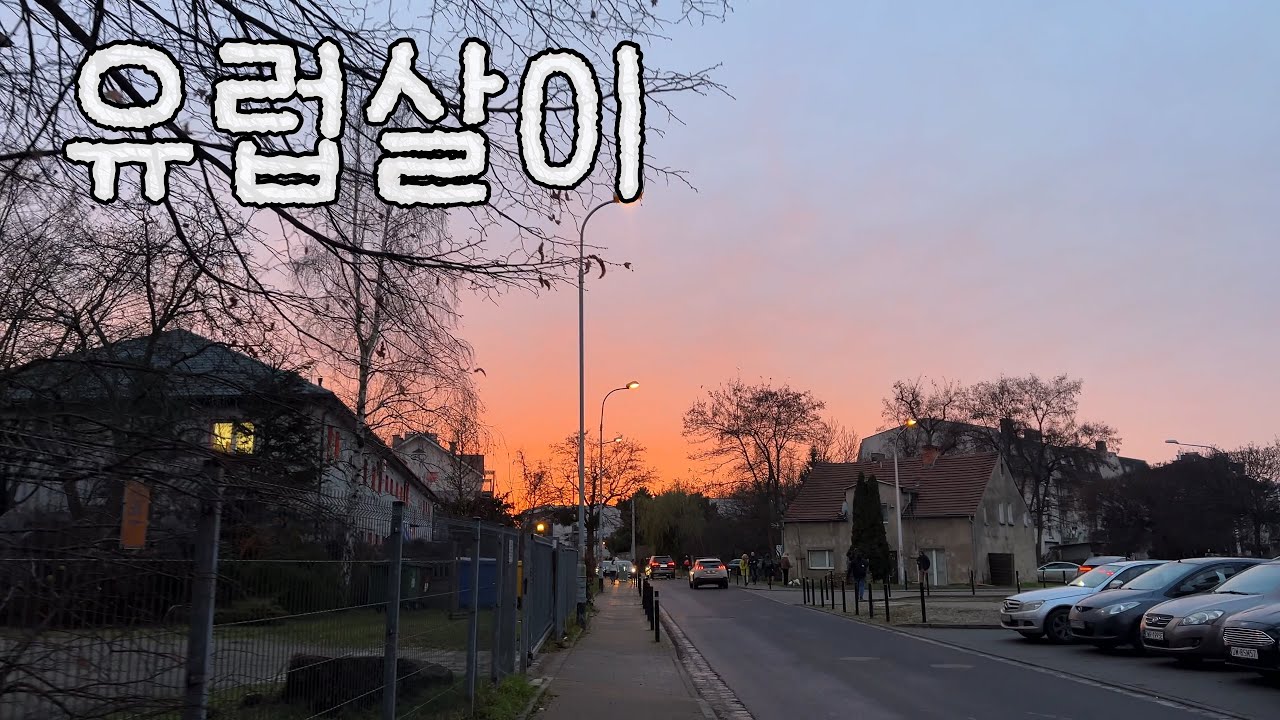 Ep16. 최박이네 Vlog | 🇵🇱 유럽살이, 일하고 애들 픽업하다 하루 끝