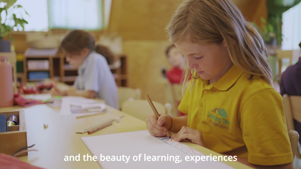 What does the Steiner Curriculum look like?