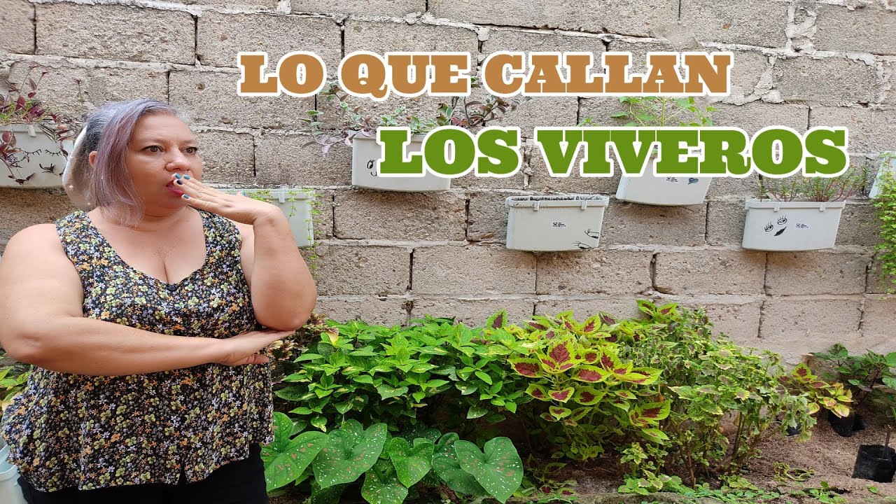🖐️5 PUNTOS CLAVES🔑 del por que❓ se  MUEREN las PLANTAS🥶