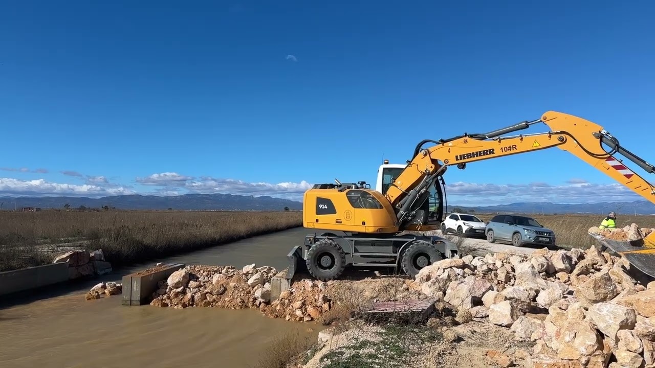 El temporal de vent de inunda amb aigua marina més de 400 hectàrees de camps d'arròs a Deltebre