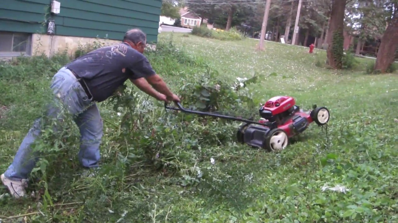 Greg Zanis Got A Free Toro Lawn Mower From Craigslist and Cutting The Long Greens