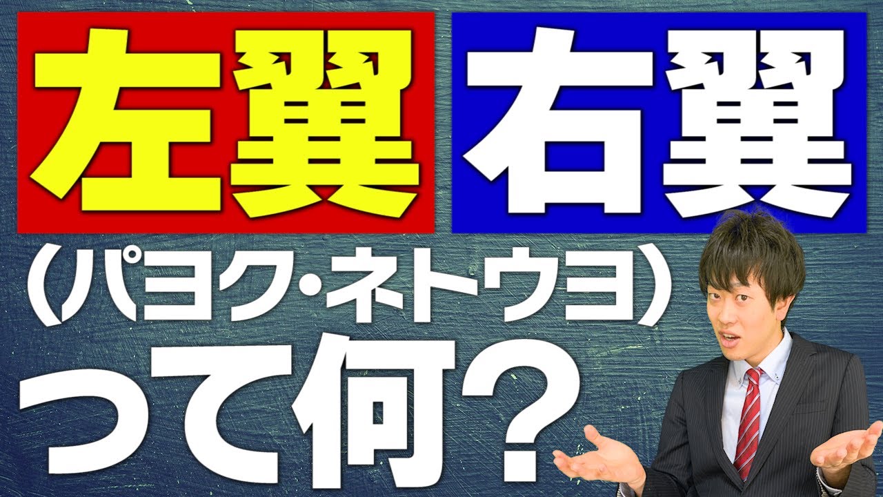 【右翼･左翼】どういう意味？違いは？なぜ揉めている？成り立ちから最新事情まで元東大生がわかりやすく解説