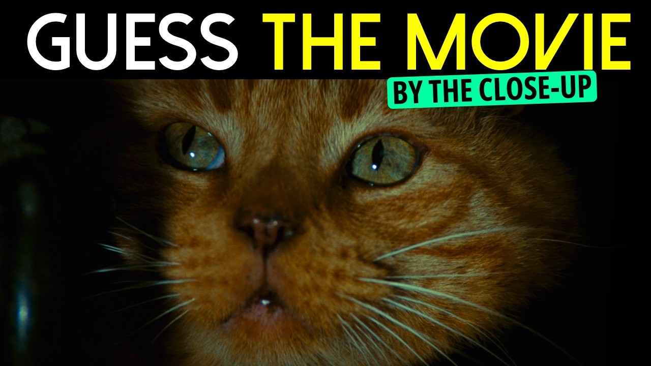 Guess the Movie by the Close-Up Frame | 55 Films Challenge
