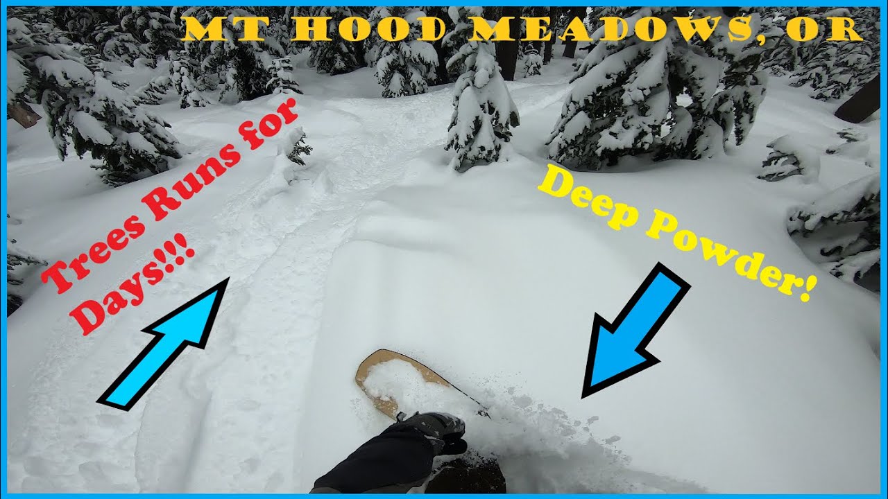 TREE RUNS FOR DAYS!! - Mt. Hood Meadows 4K (Powder Day!)