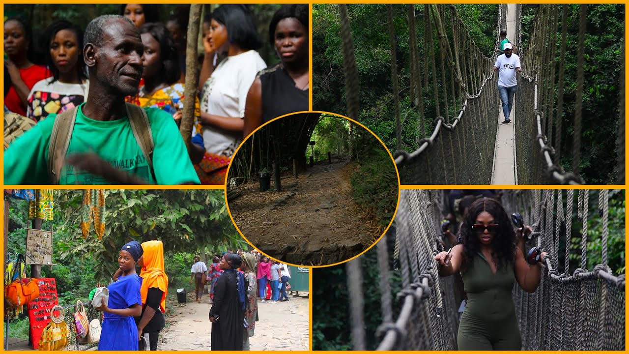 For this reason, I won't go to Kakum Forest 