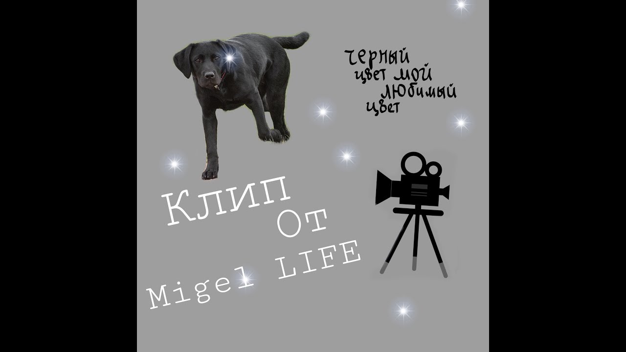 КЛИП ОТ МИГЕЛЯ///Migel LIFE