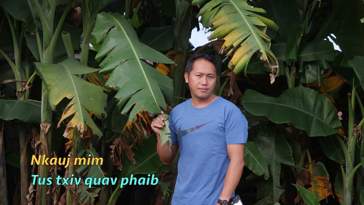 Nkauj mim tus txiv quav phaib 8/18/2025