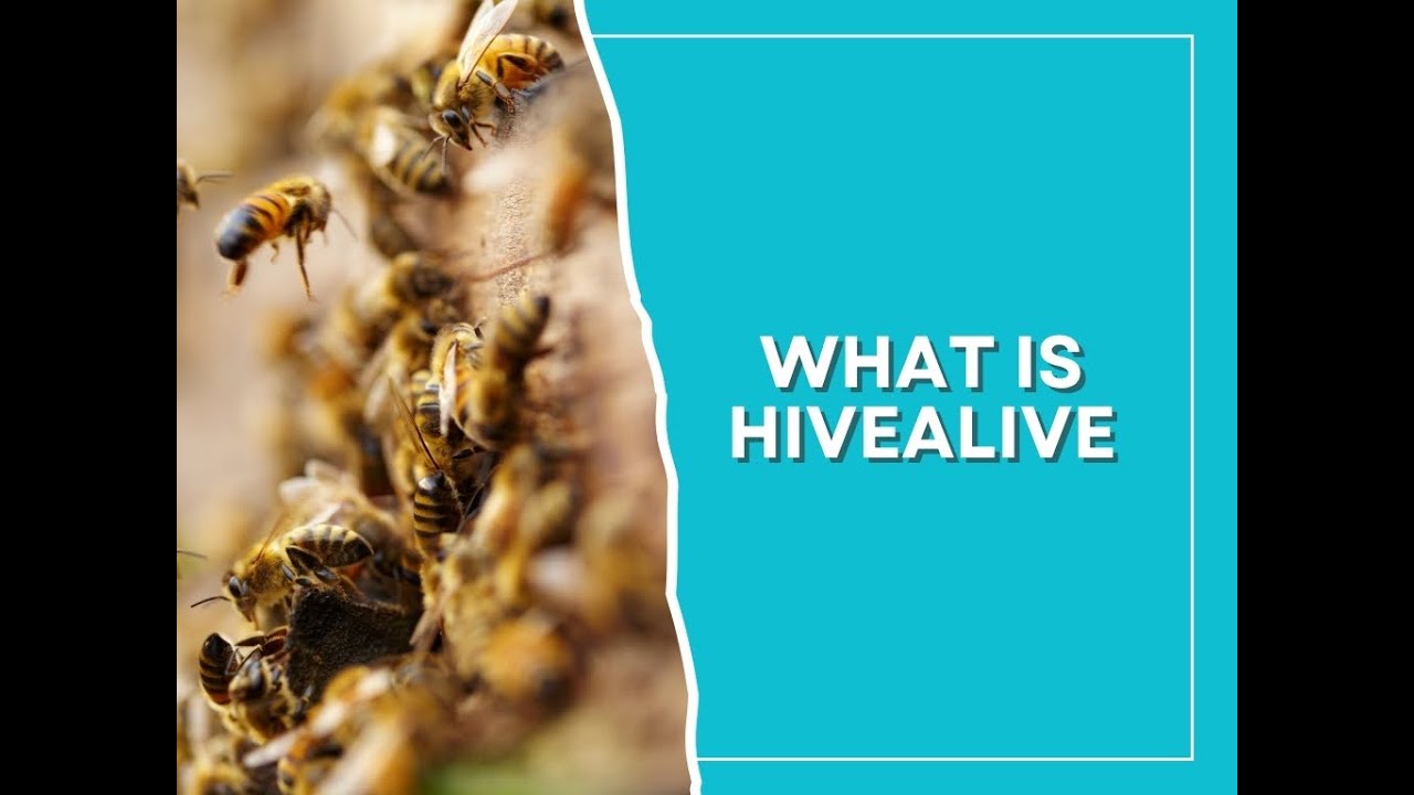 What's in HiveAlive and the Proven Scientific Results
