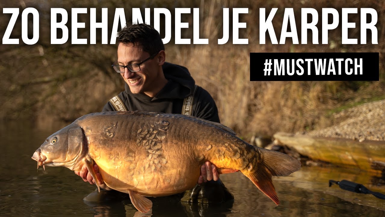 🚨 BELANGRIJKE VIDEO - ZO BEHANDEL JE EEN (GROTE) KARPER | Michiel Pilaar