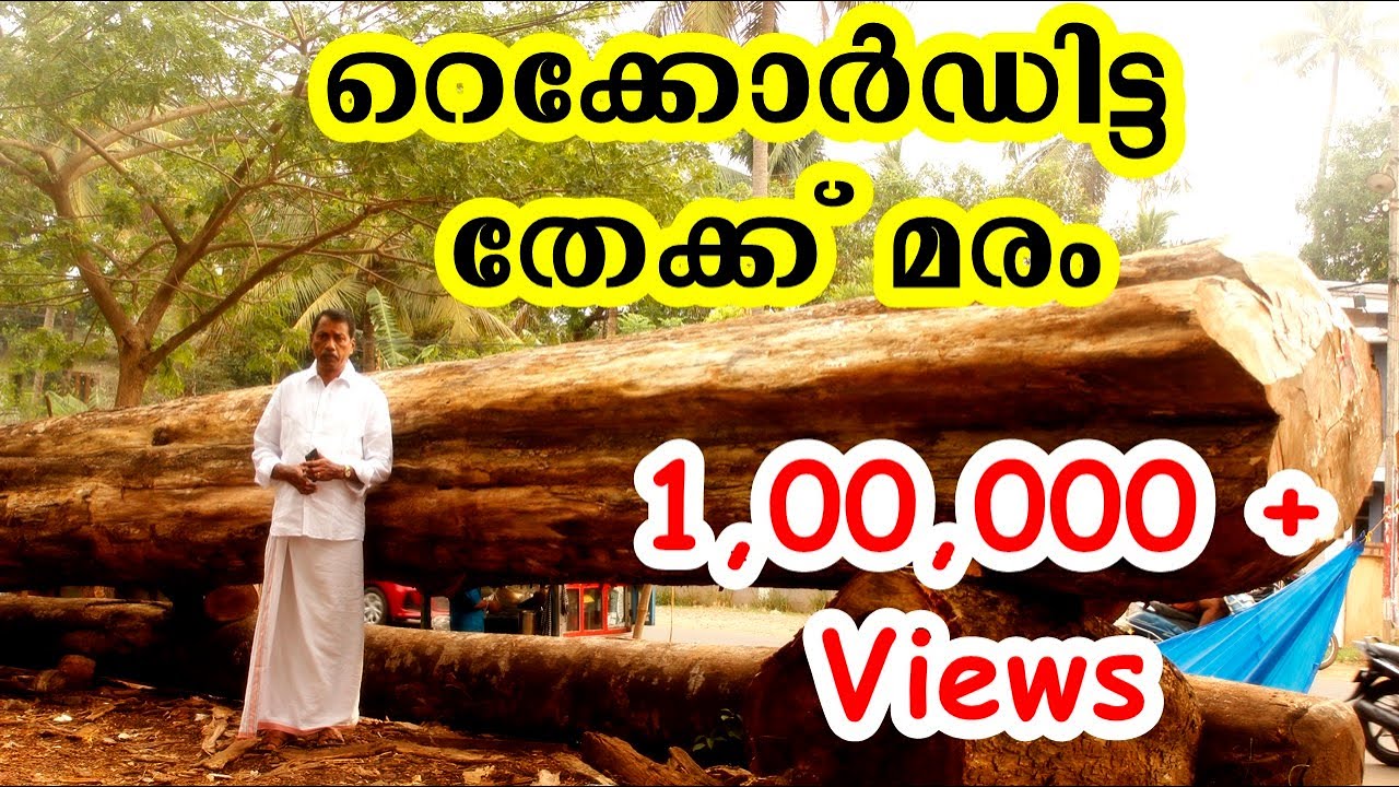 250 വർഷം പഴക്കമുള്ള തേക്ക് മരം കണ്ടിട്ടുണ്ടോ ? | 250 YEARS OLD KERALA TEAKWOOD | RECORDTEAKWOOD