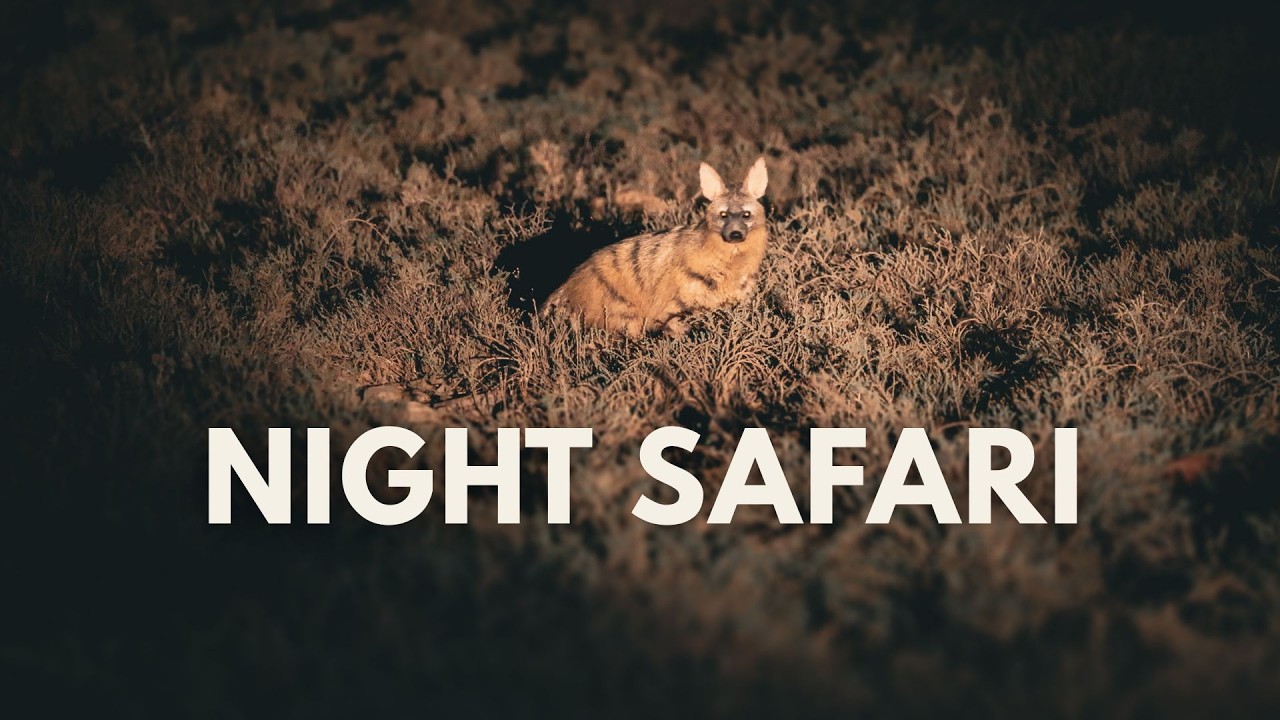 Night Safari Secrets of the Karoo | Mountain Zebra National Park | Ep. 2