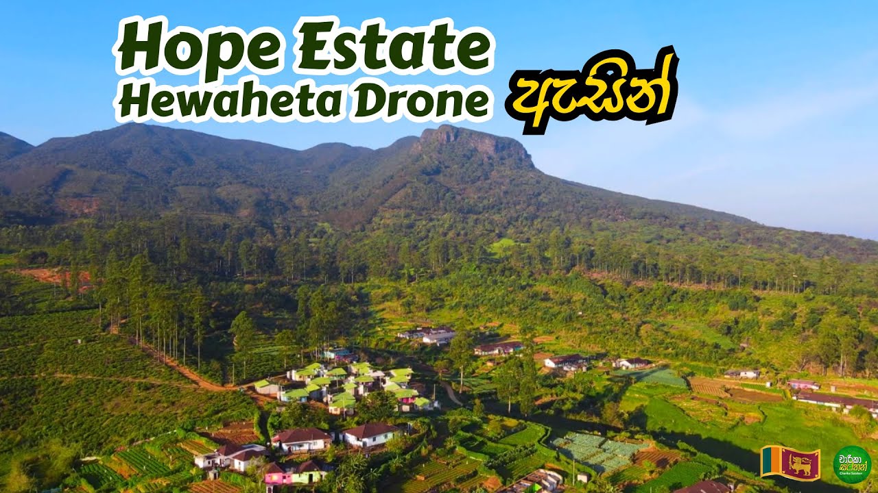Hope Estate  Hewaheta - Beautiful Sri Lanka