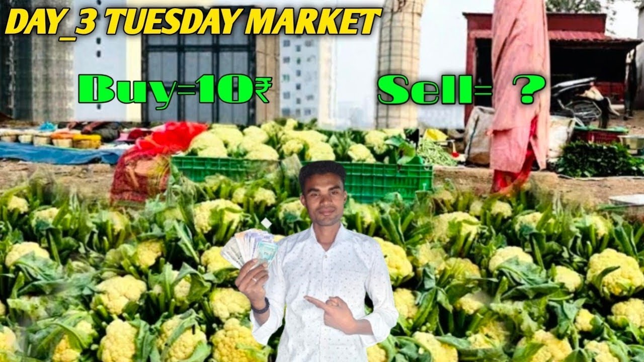 आज मैंने मार्केट से खरीदा _10₹ में फूलगोभी ओर देखिए इतनी ज्यादा कमाई !🥦🥦🥦?