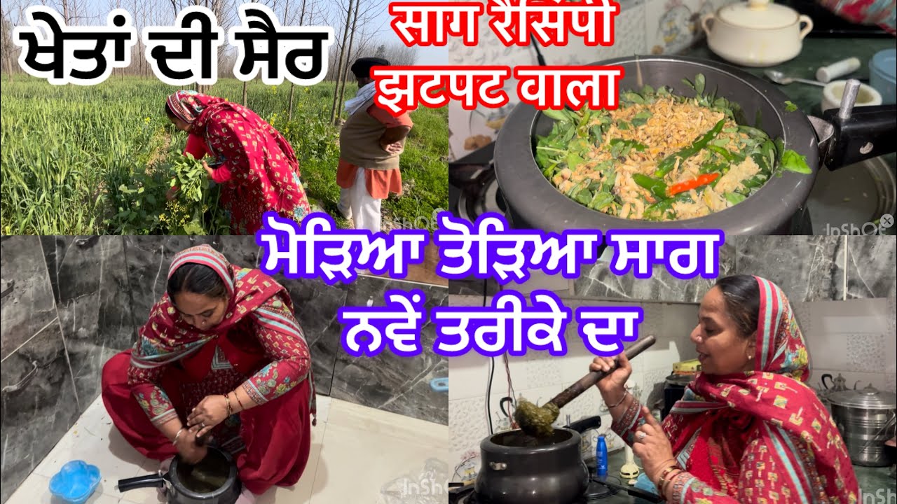 ਮੋੜਿਆ ਤੋੜਿਆ ਸਾਗ ਨਵੇਂ ਤਰੀਕੇ ਵਾਲਾ ਮਿੰਟਾਂ ਵਿੱਚ ਤਿਆਰ ਦੇਖਦੇ ਹੀ ਬਣਾਓ#सागरेसिपीसिपल