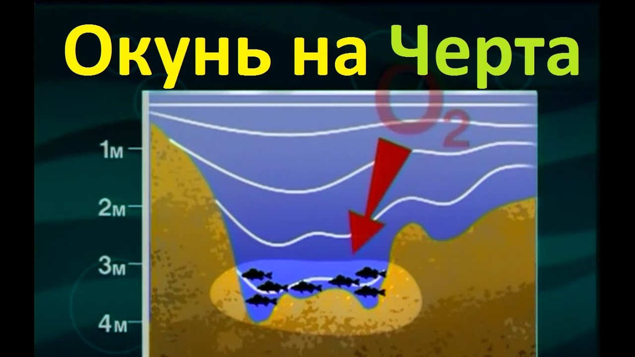 Диалоги о рыбалке -118- Глухозимье, ловля окуня на черта