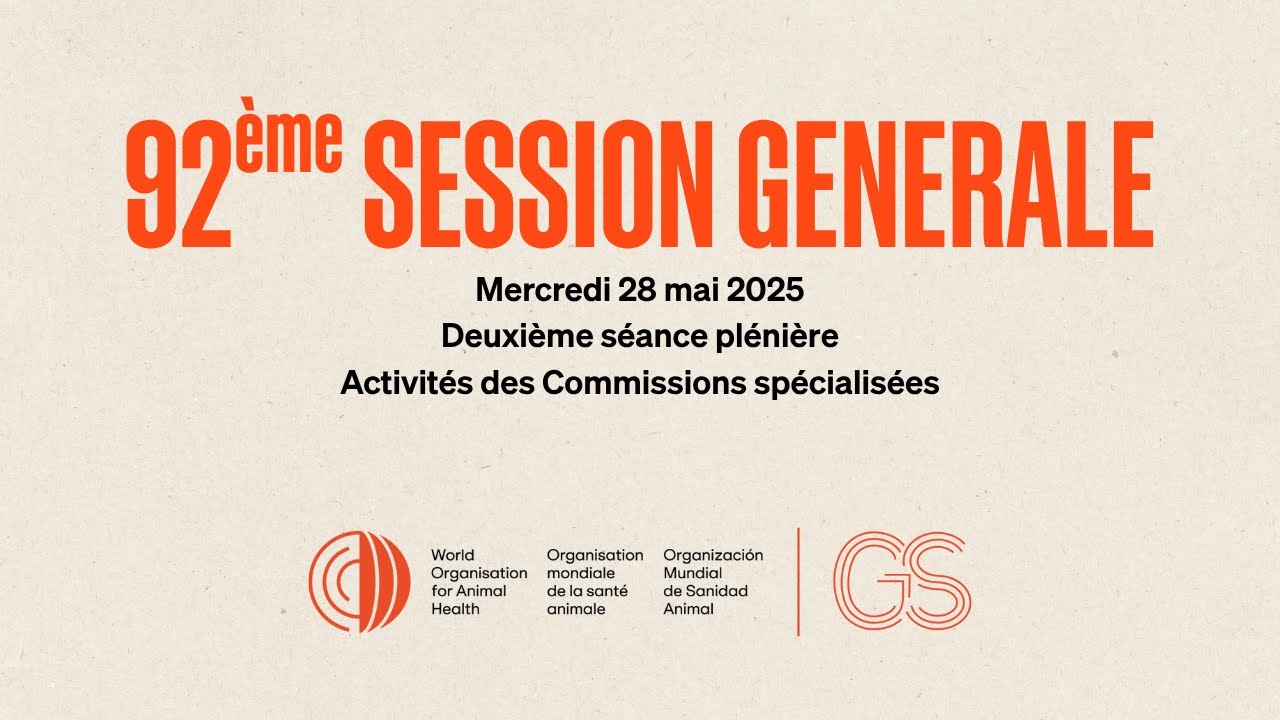 92ème Session Generale: Deuxième séance plénière, Activités des Commissions spécialisées