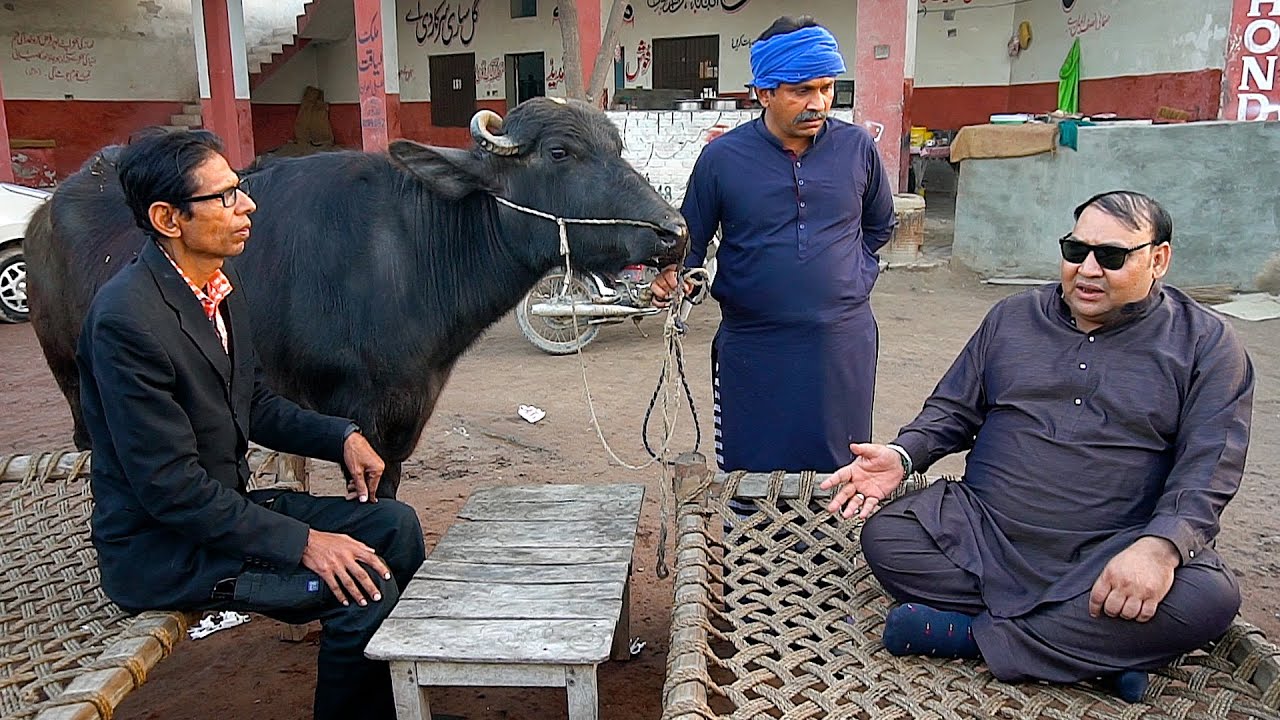 Tasleem Abbas and soni New Comedy Show || Village Life || Toote