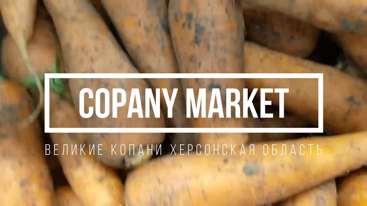 Морковь оптом купить Великие Копани. Ростов-на-Дону, Москва, Санкт-Петербург | Direct Delivery