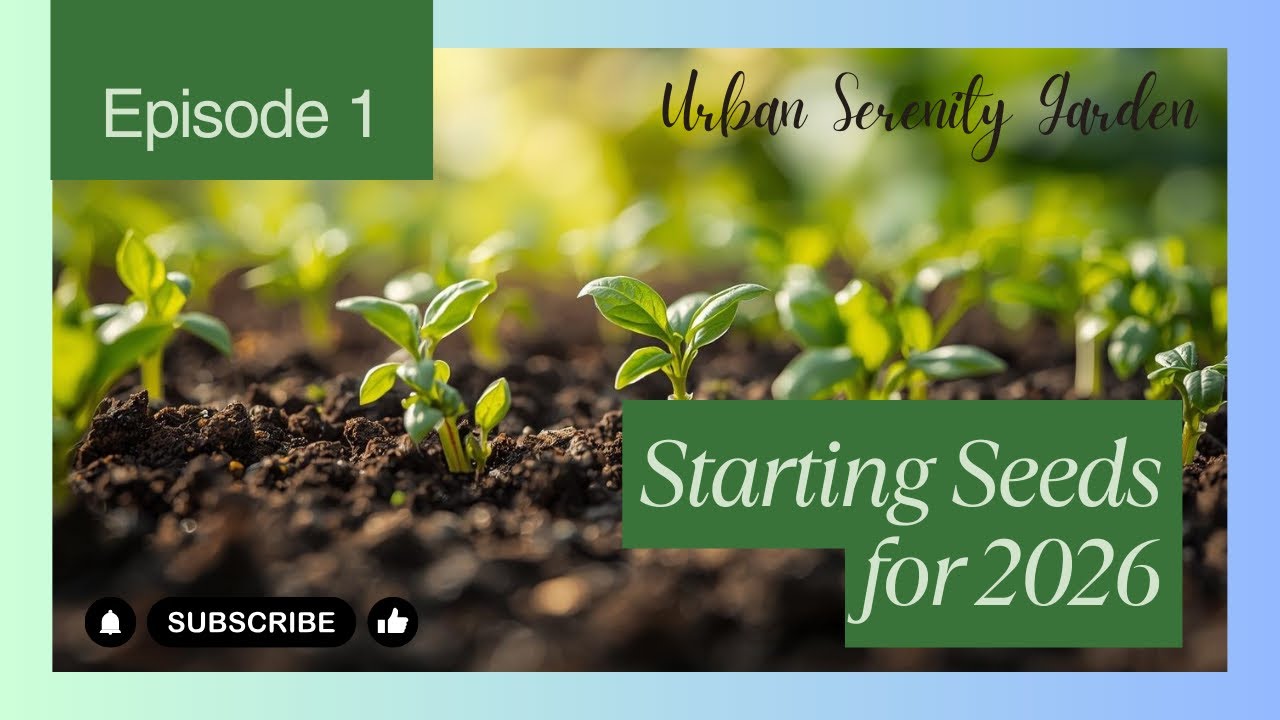 Seed starting 2026 - part I