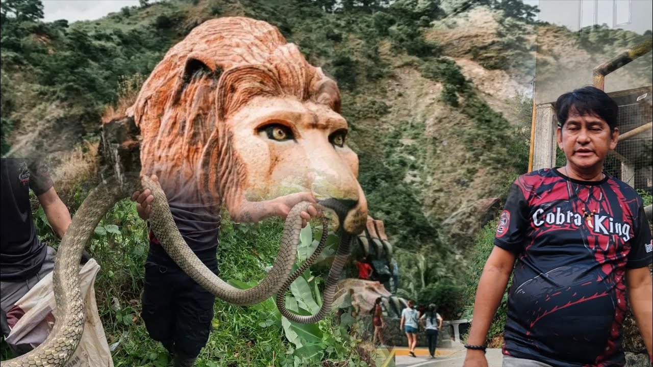 MGA KARANASAN SA BAGIO KING COBRA SA TAMBAK NA GULONG