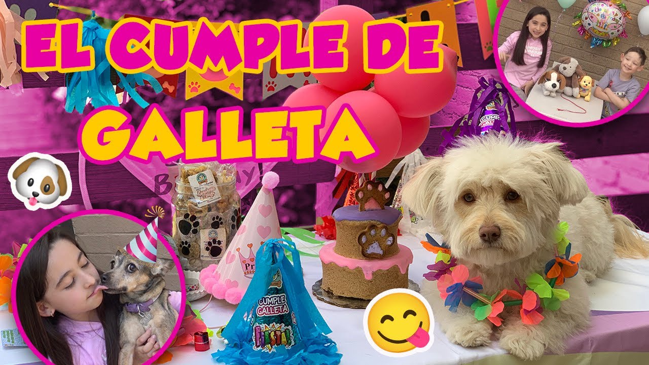 EL CUMPLEAÑOS No 1 de GALLETA 🥳🐶🎂🐾💓
