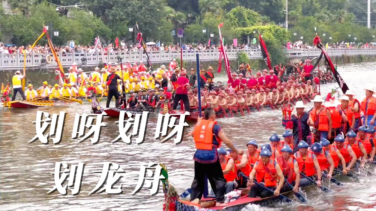 中国温州端午节划龙舟活动
