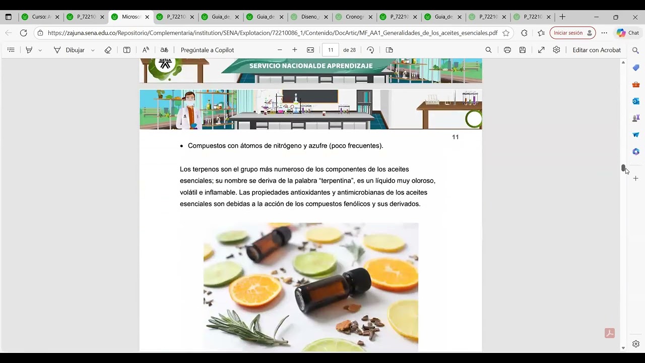 Aceites esenciales - primera sesión en línea 2