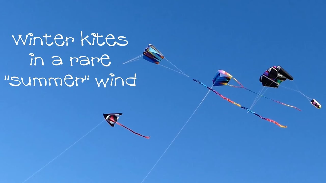 Winter kites in a 