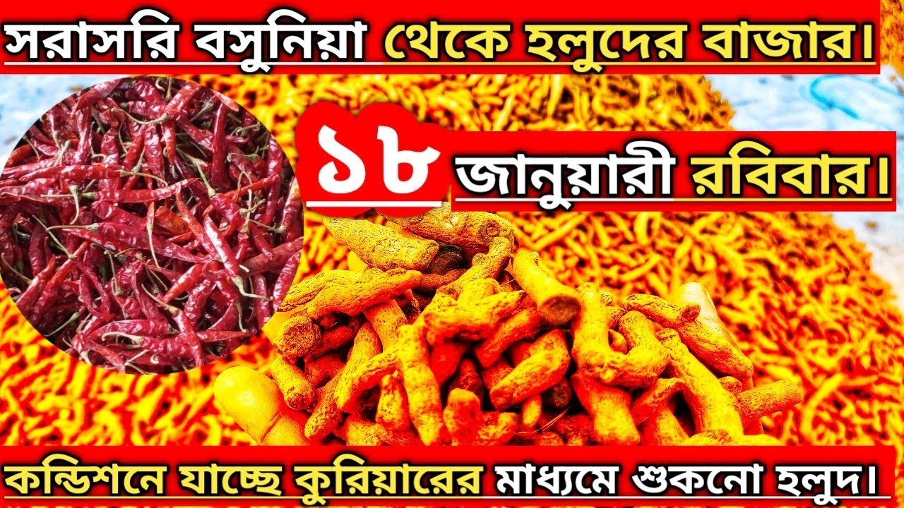18 জানুয়ারি ২০২৬ রোজ রবিবার। পঞ্চগড় জেলার হলুদের আপডেট বাজার #হলুদ#হলুদের_বাজার#পাইকারি_বাজার
