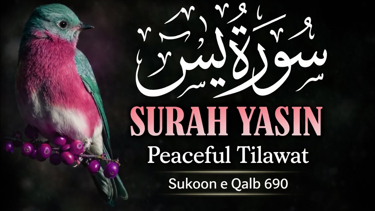 Surah Yaseen | Heart Touching Tilawat for Peace, Rizq & Forgiveness | 2026