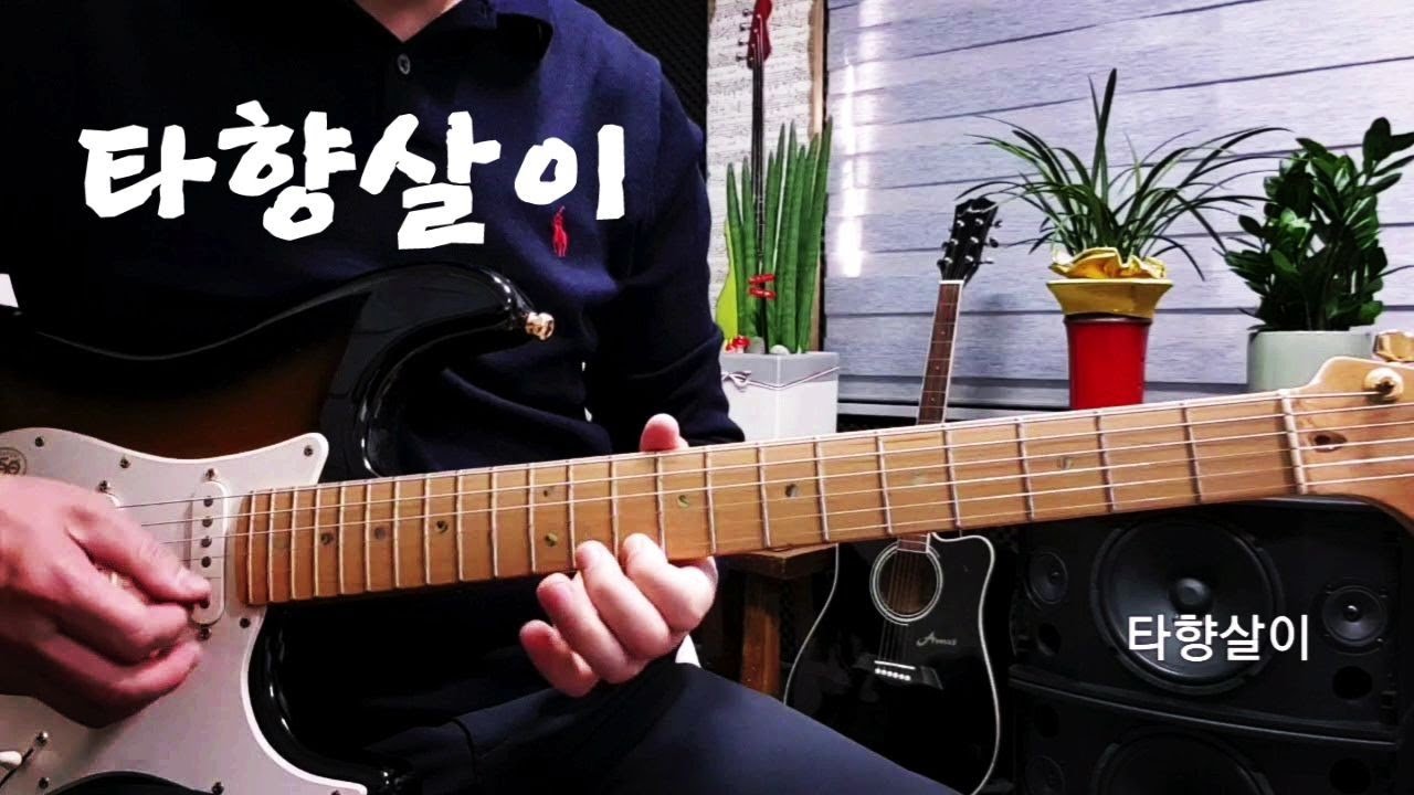 타향살이(Dm스케일)(가사자막)