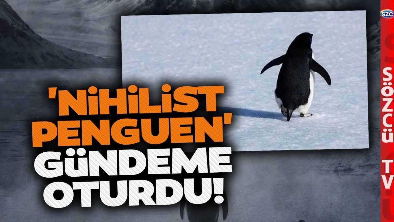 'Nihilist Penguen' Türkiye Gündemine Oturdu! Psikolog Tuna Tüner'den Yürekleri Titreten Yorum