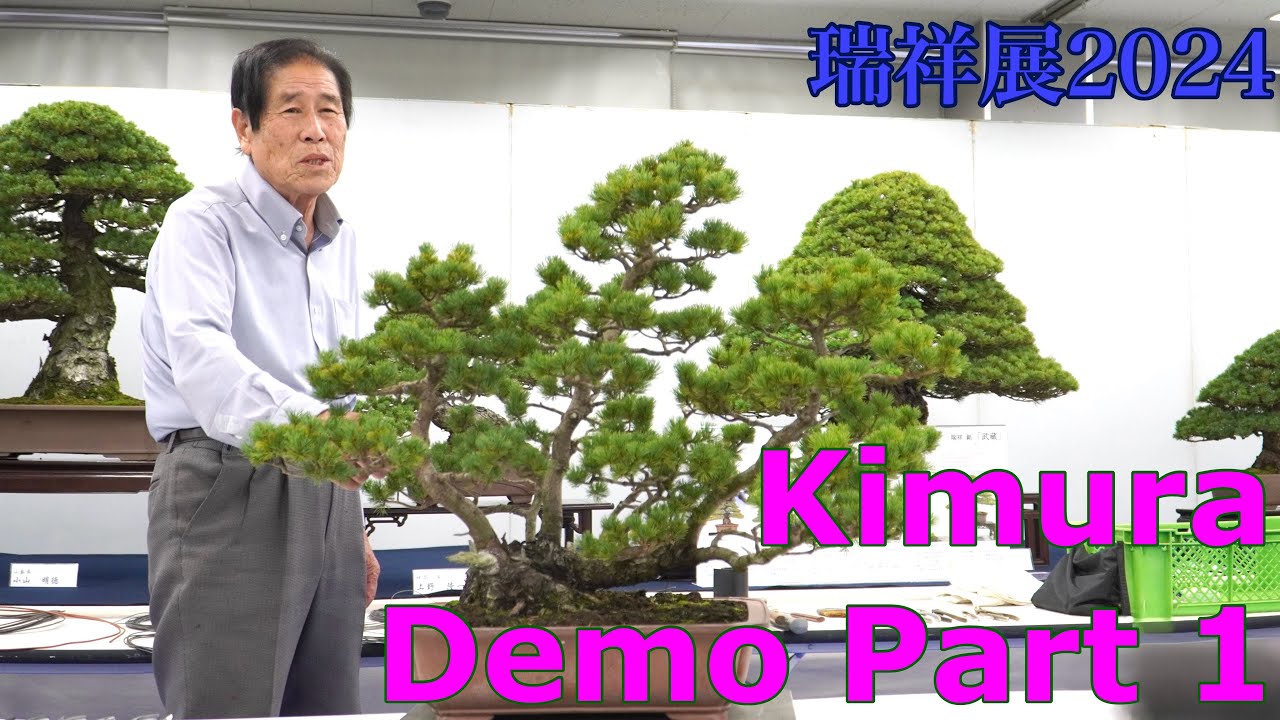①Masahiko Kimura Demo Part1 for Zuisho exhibition 2024 木村正彦 瑞祥展 盆栽デモ Part1 #masahikokimura #bonsai