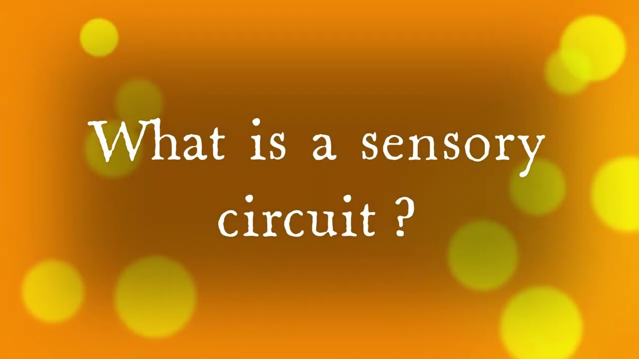 Sensory Circuits at School- Bi Borough SEN Occupational Therapy