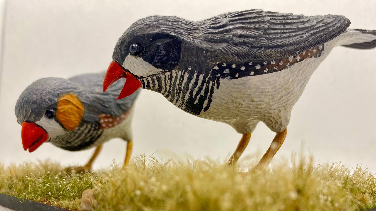 Converting Airfix's Bullfinches into Zebra Finches