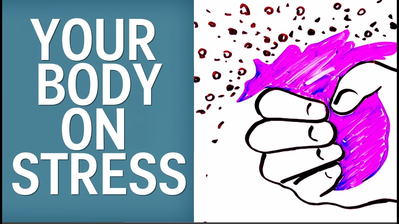 How Stress and Anxiety Hurt Your Health