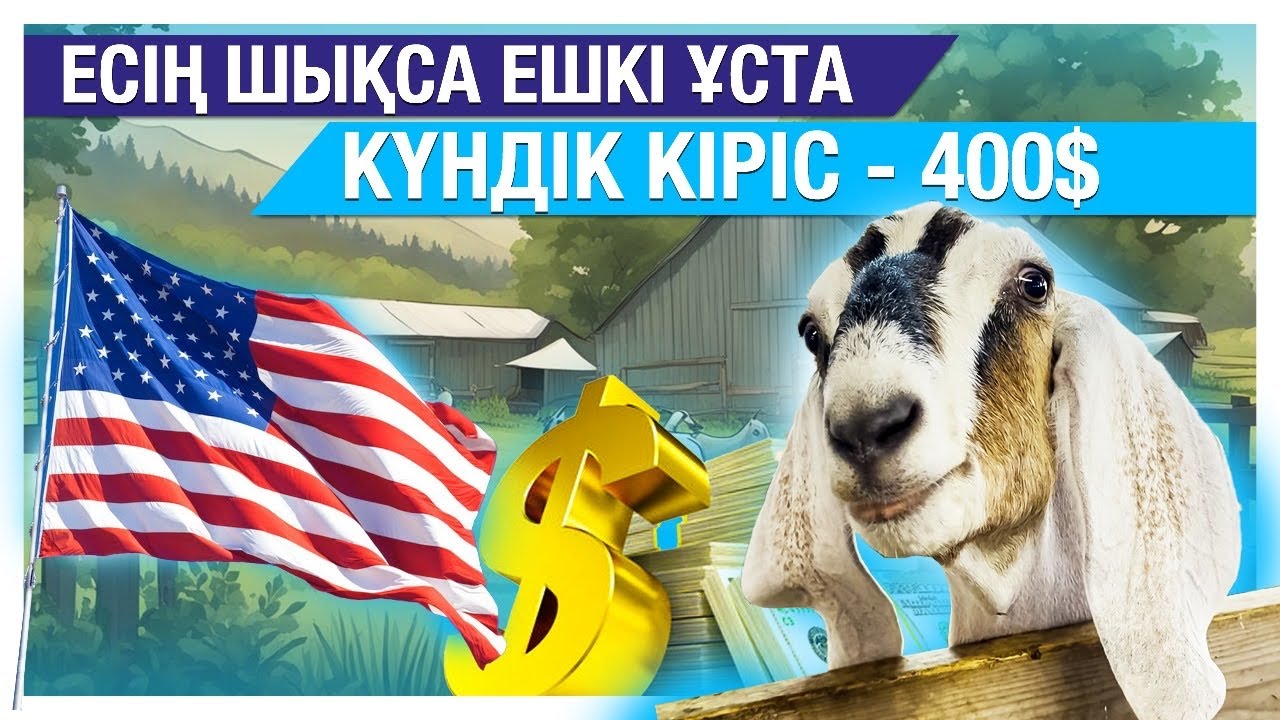 Есің шықса ешкі ұста. Күндік кіріс - 400$