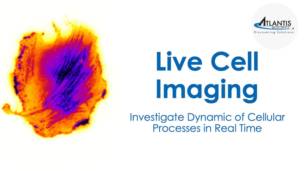 Live Cell Imaging