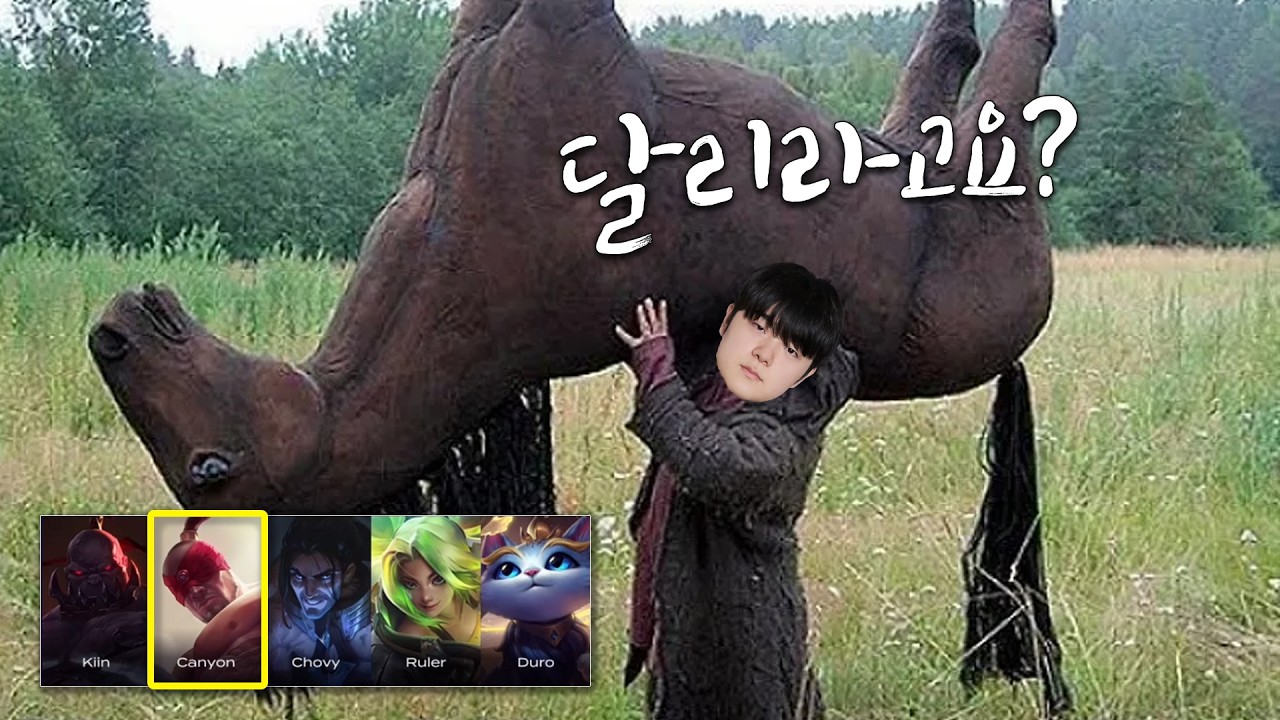 캐니언 동선 분석
